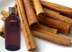 Cinnamon Bark Essential Oil 