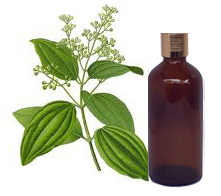 Cinnamon Organic Leaf Essential Oil