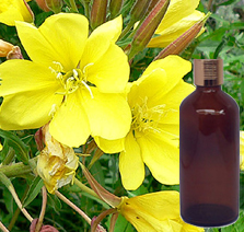 Evening Primrose Oil