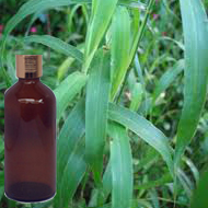 Palmarosa Essential Oil 