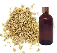 Parsley Seed Oil 