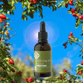 Rosehip Oil