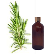 Rosemary Essential Oil