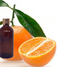 Tangerine Oil 