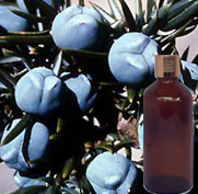  Juniper Berry Oil